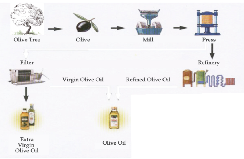 how oil is made
